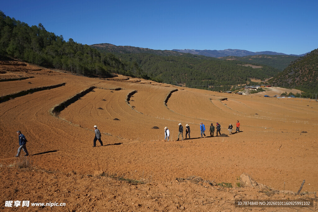 山坡上的人群与自然风光