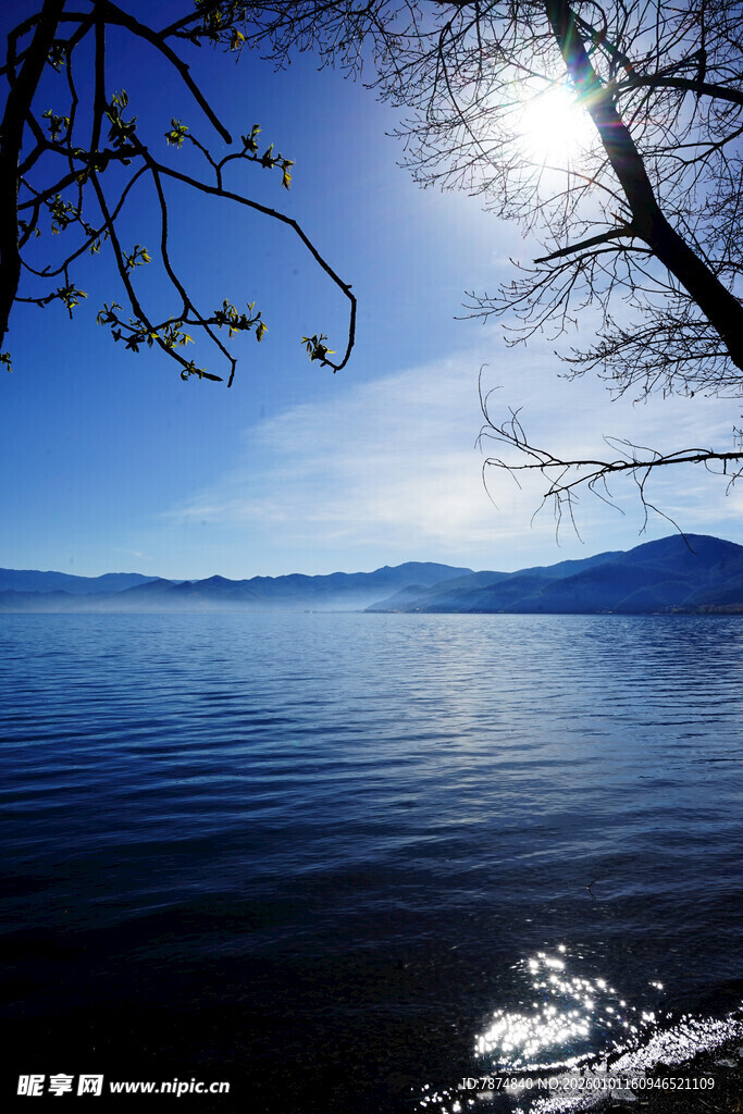 湖畔蓝天美景 树影婆娑