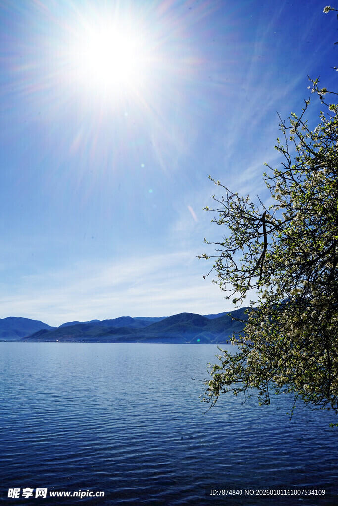 阳光照耀下的宁静湖水