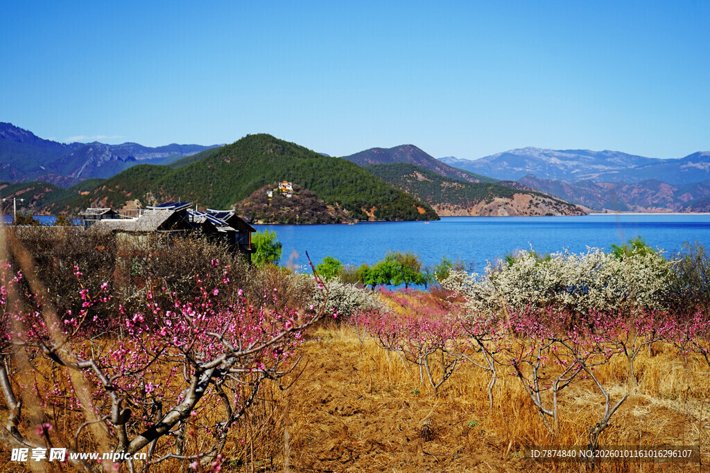湖畔春色 繁花与远山相映
