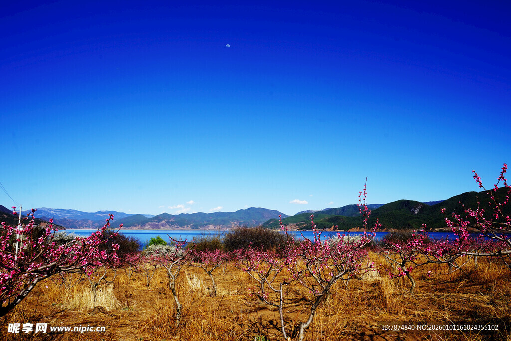 湖畔秋景 繁花与远山相映