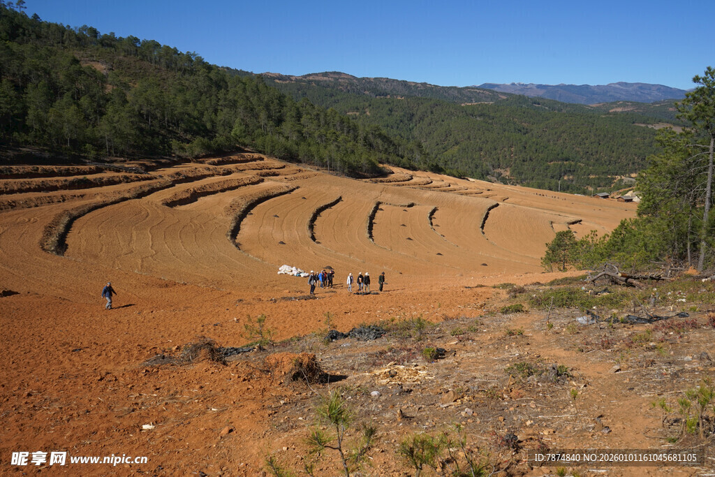 山坡上的梯田开垦场景