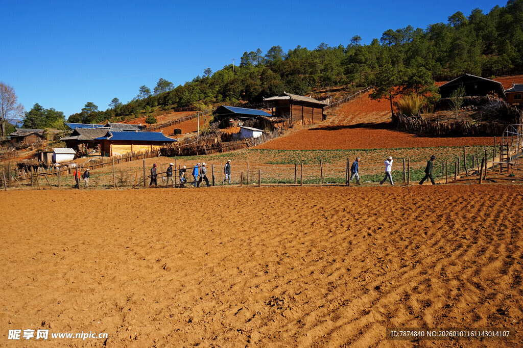 乡村田野风光 宁静村落