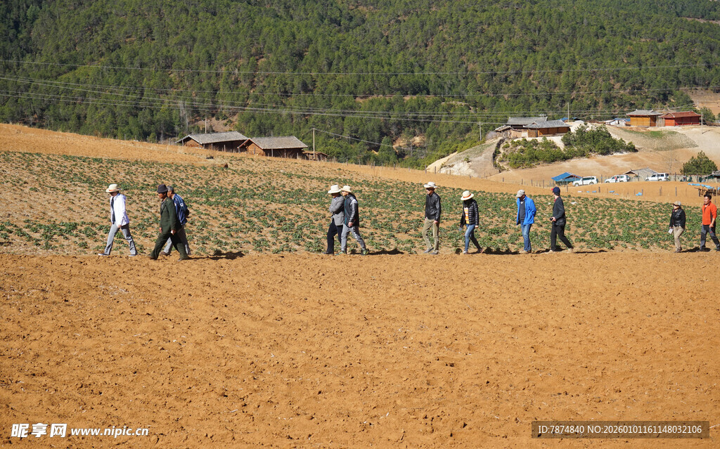 农民田间劳作场景