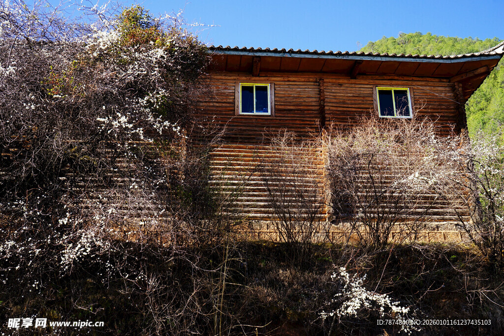 山间木屋 隐于草木之间
