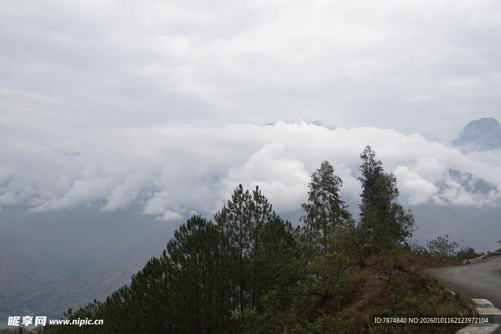 云雾缭绕山林美景