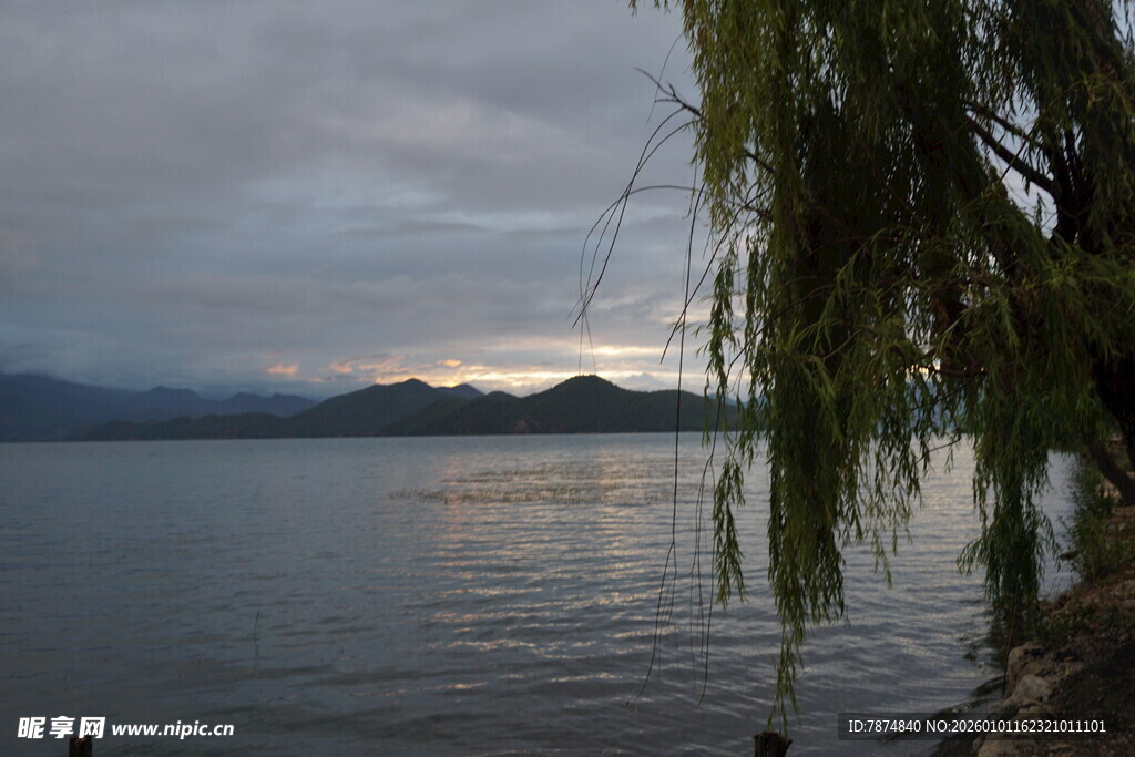 湖畔垂柳映暮色