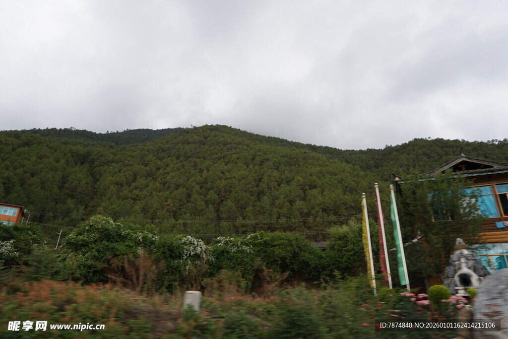 山间小屋旁的葱郁景致