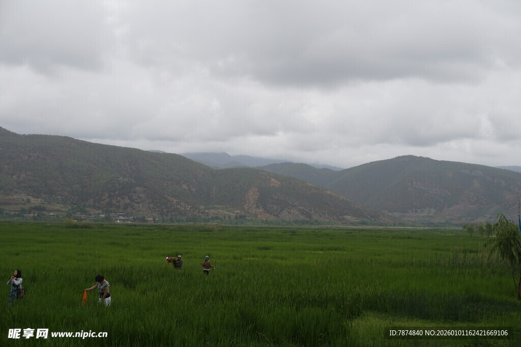 绿野山峦间的悠然景致