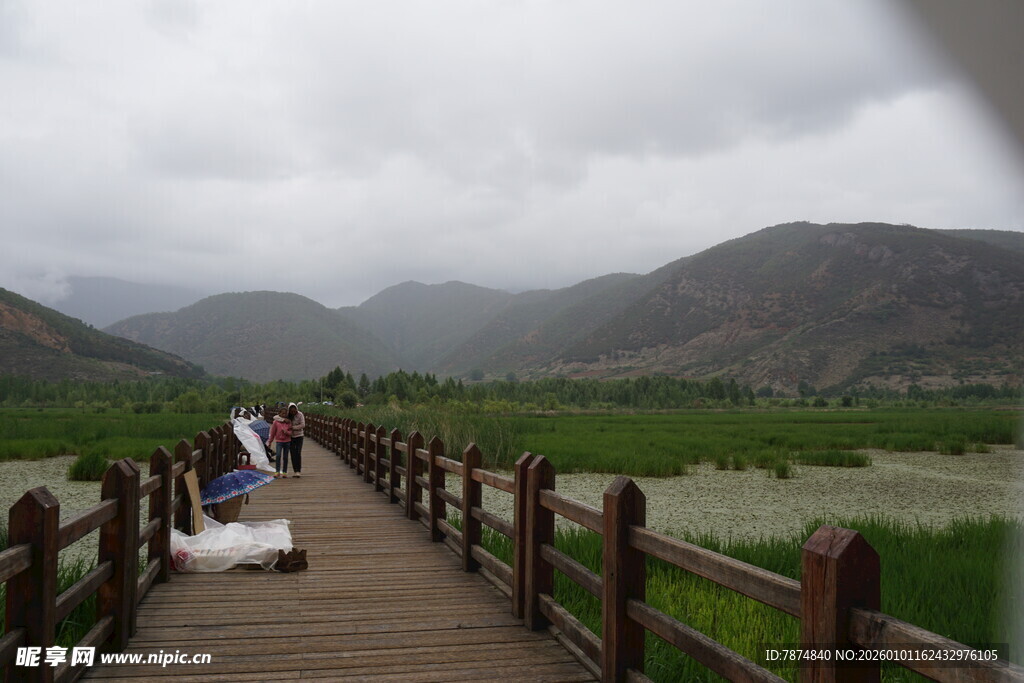 木栈道上的山野漫步