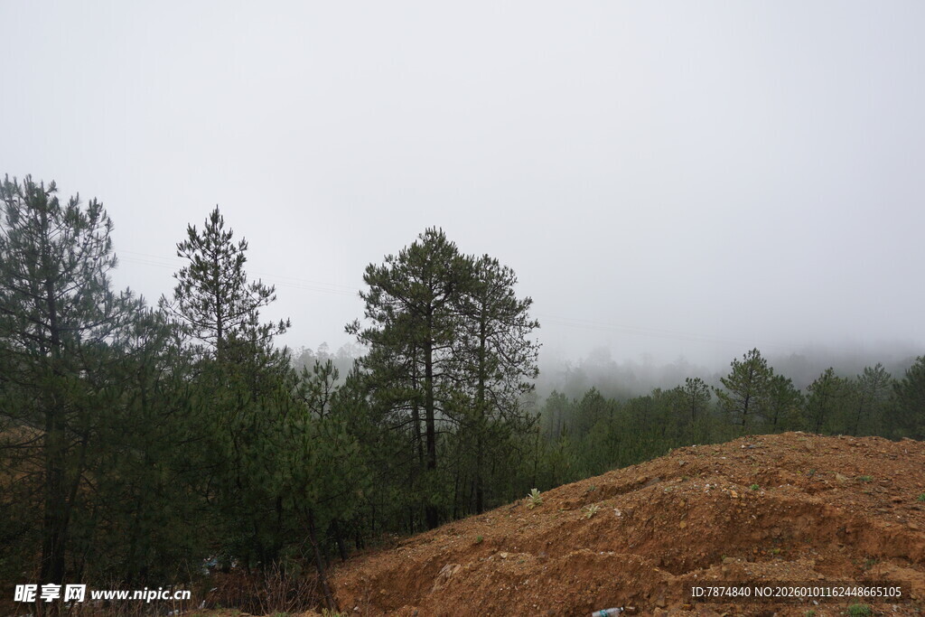 雾中林地与土堆景观