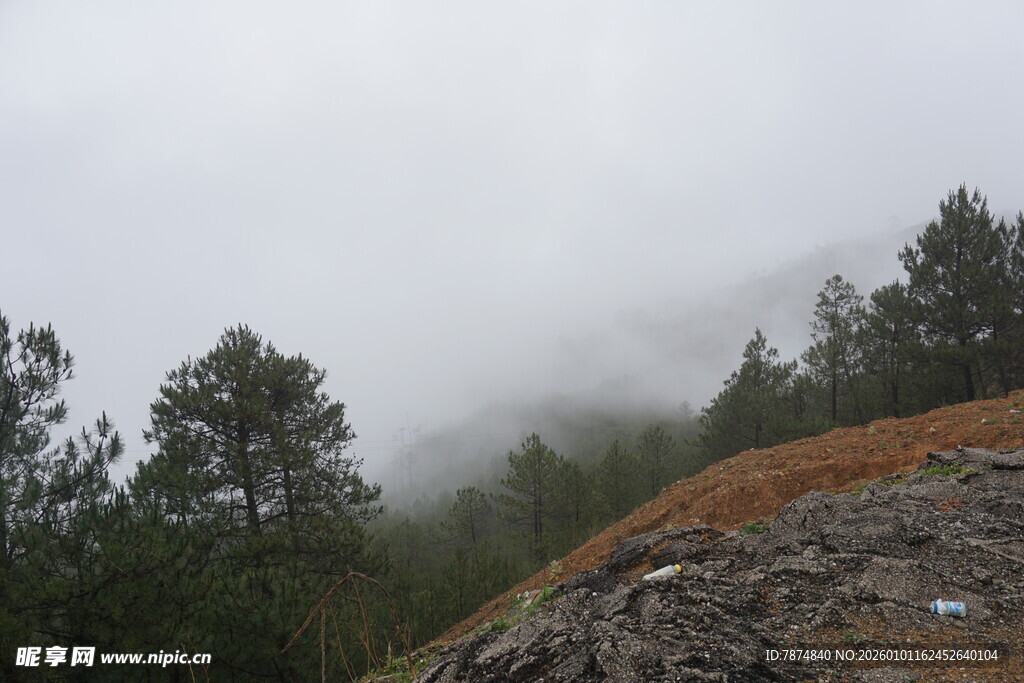 山间云雾缭绕的森林景色