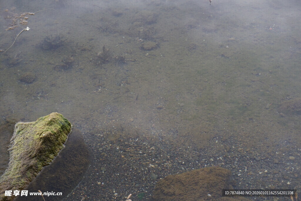 水中石块 静谧自然景象