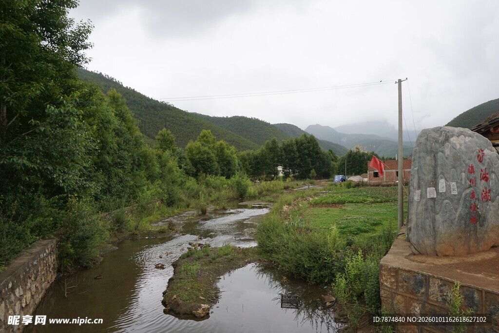 山间小溪旁的自然景致