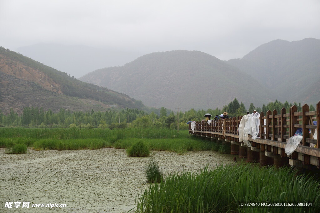 山间栈道旁的湿地景观
