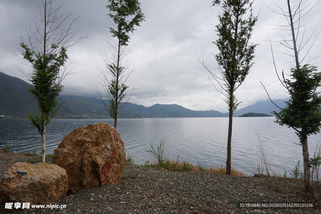 湖畔岩石小树的自然景致