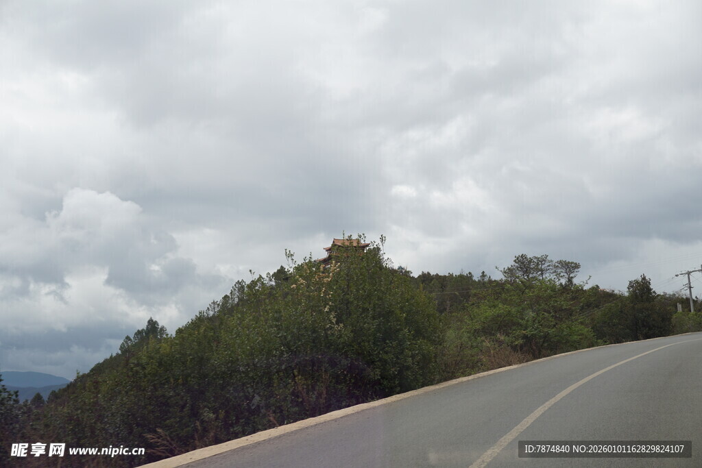 山间公路旁葱郁植被景观