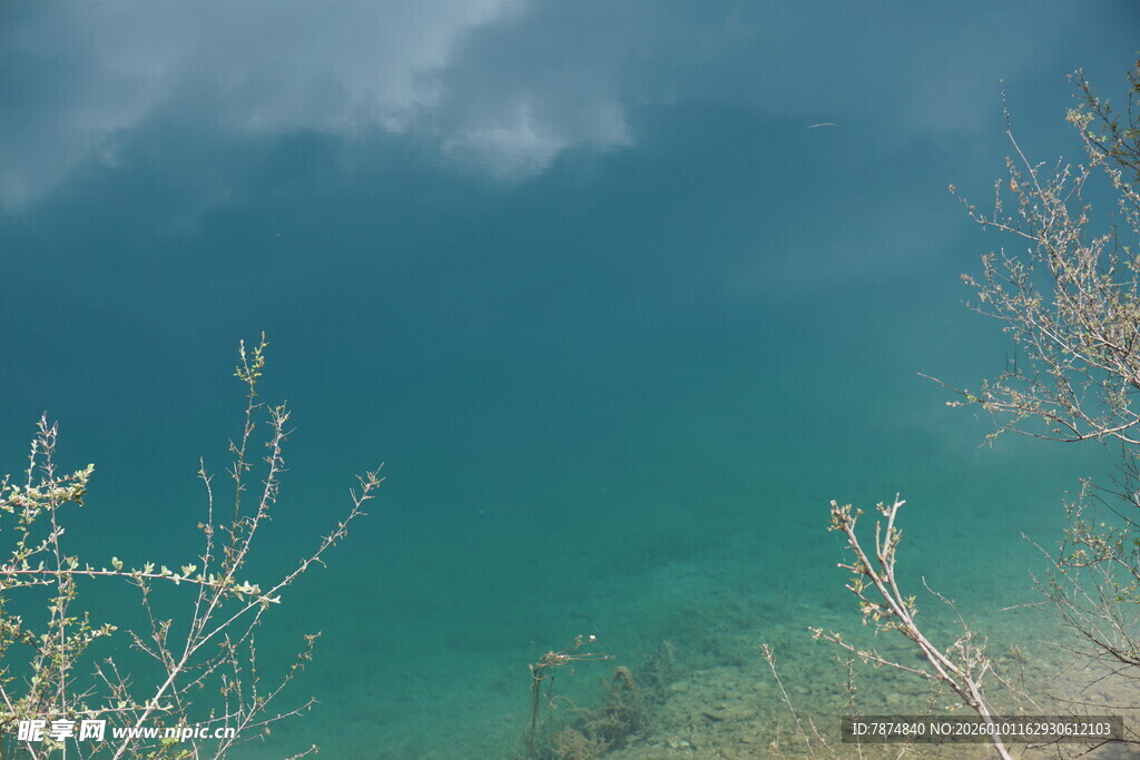 湖畔春景 湖水与枯枝相映