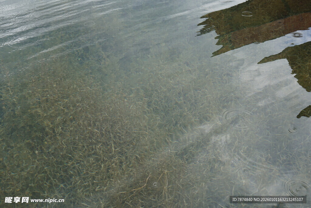清澈水底景象