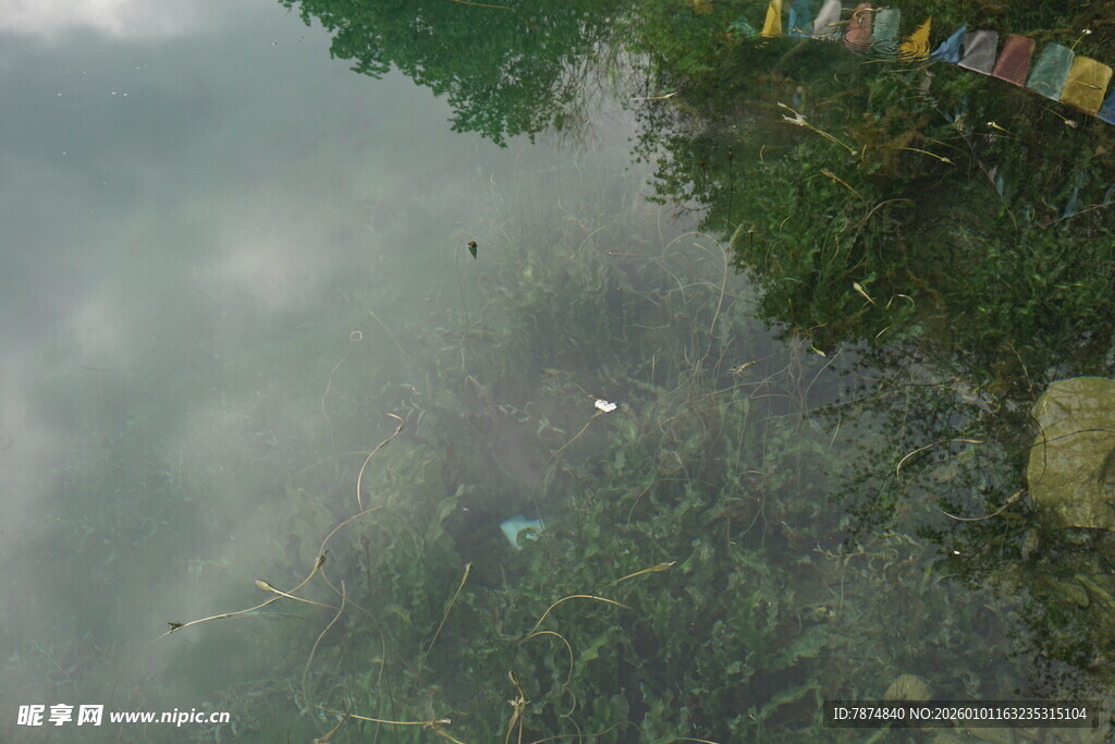 湖面倒影与岸边景象