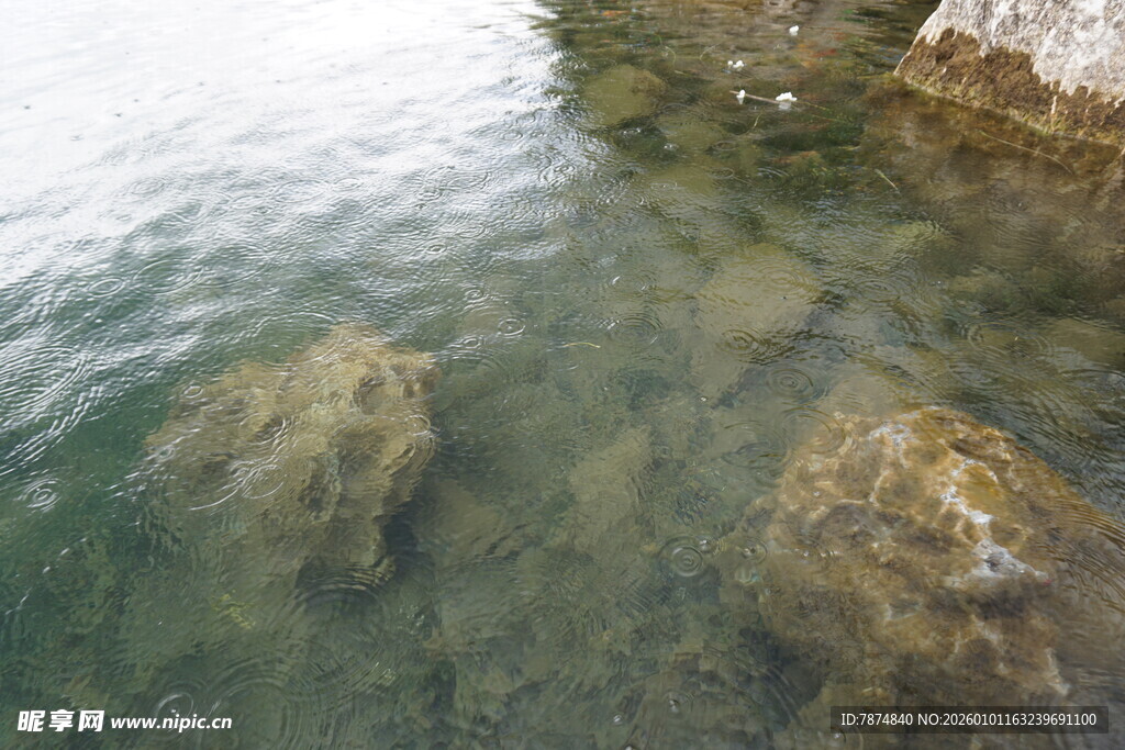 清澈水底的光滑石块