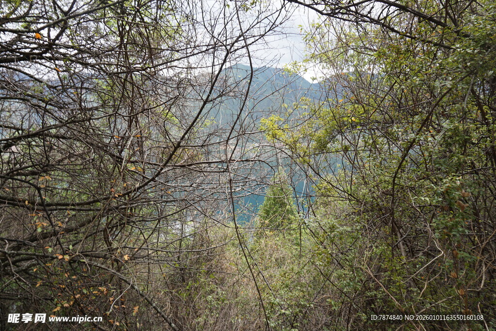 林间窥景赏湖光山色
