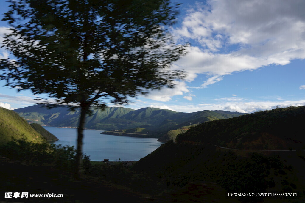 山间湖畔孤树美景