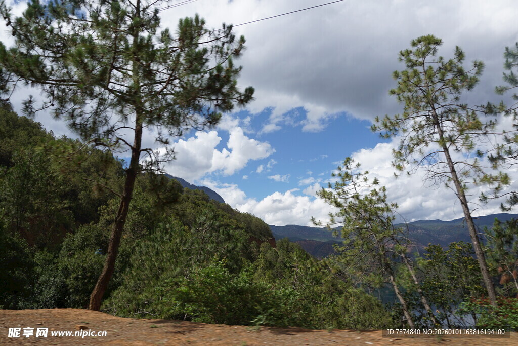 山间松林蓝天白云美景