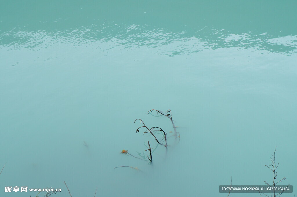 浅蓝水面上的稀疏水草