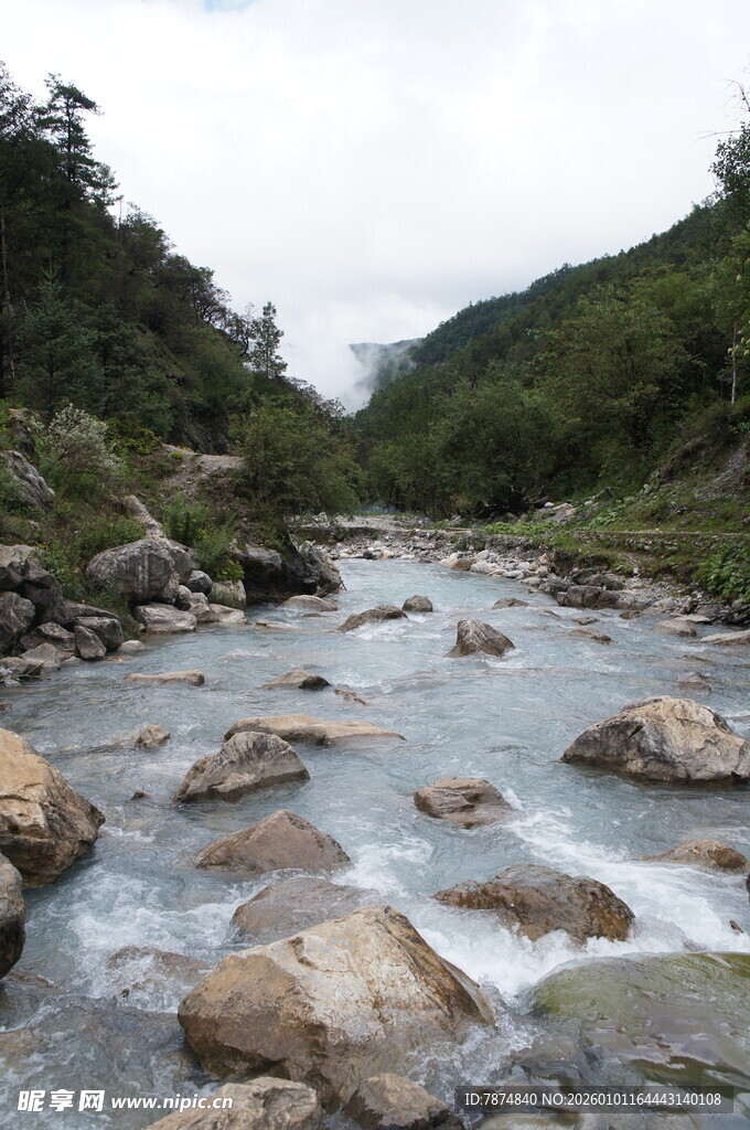 山间溪流 石滩潺潺流水