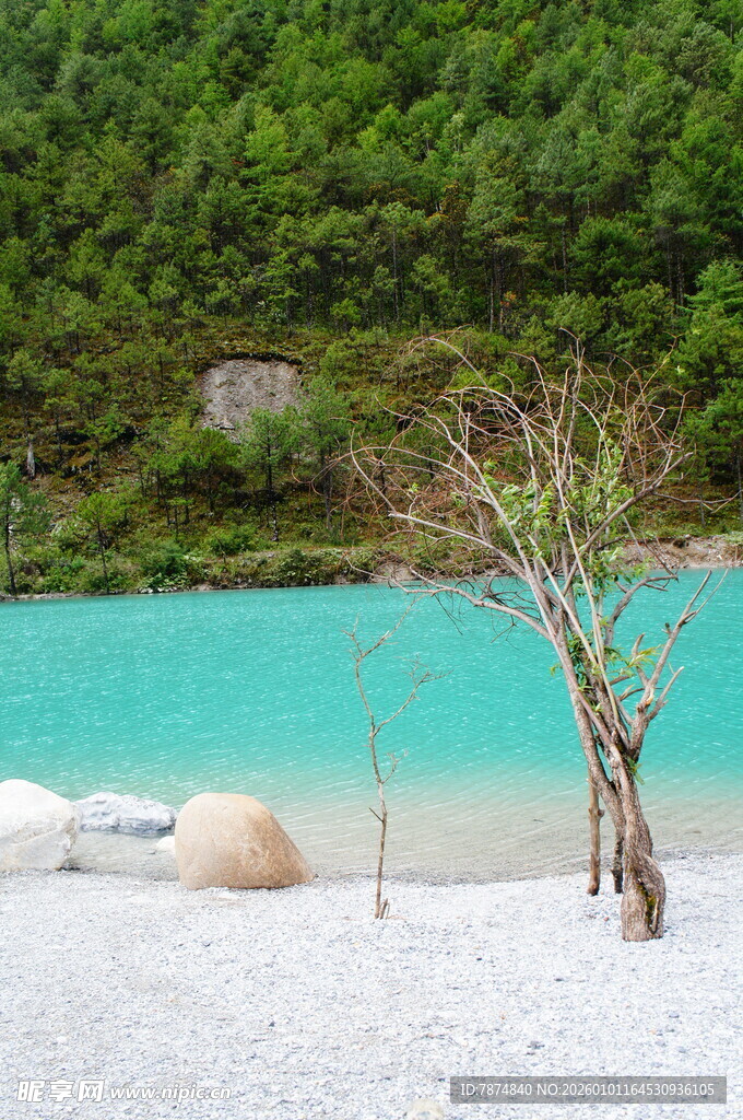 蓝湖孤树 山林静谧美景