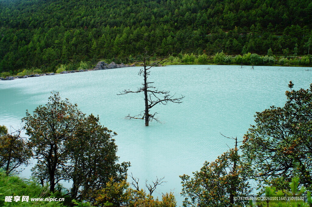 翠绿山林环绕的澄澈蓝湖