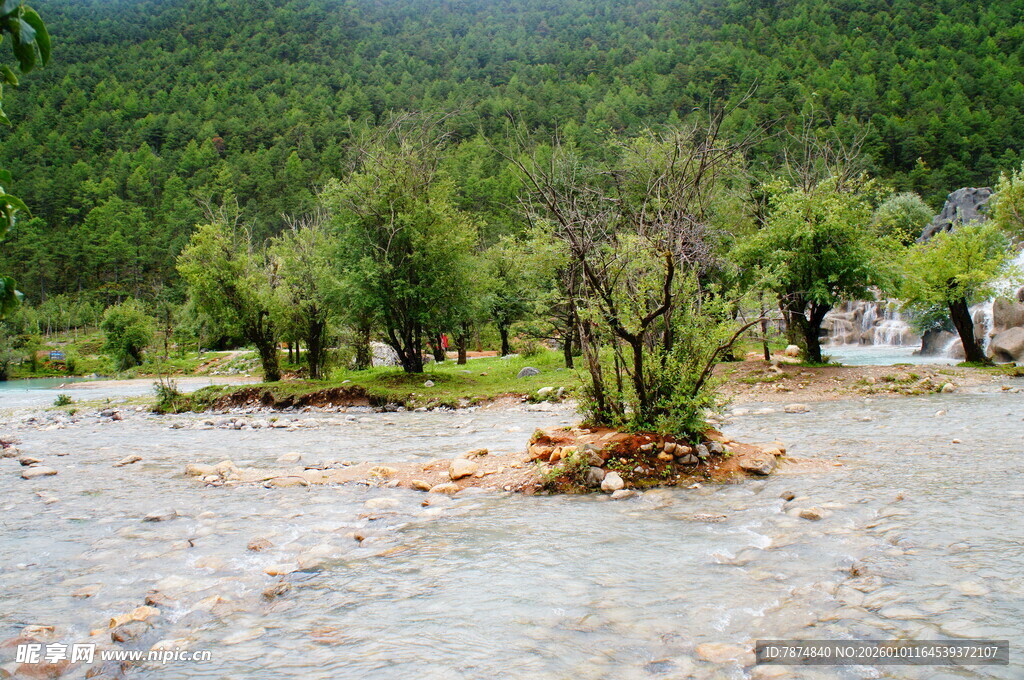 山间洪水中的树木
