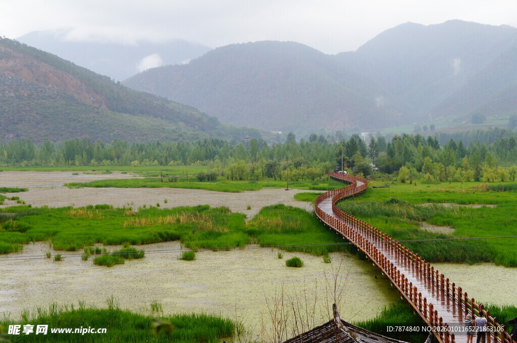 山间木桥横跨湿地美景
