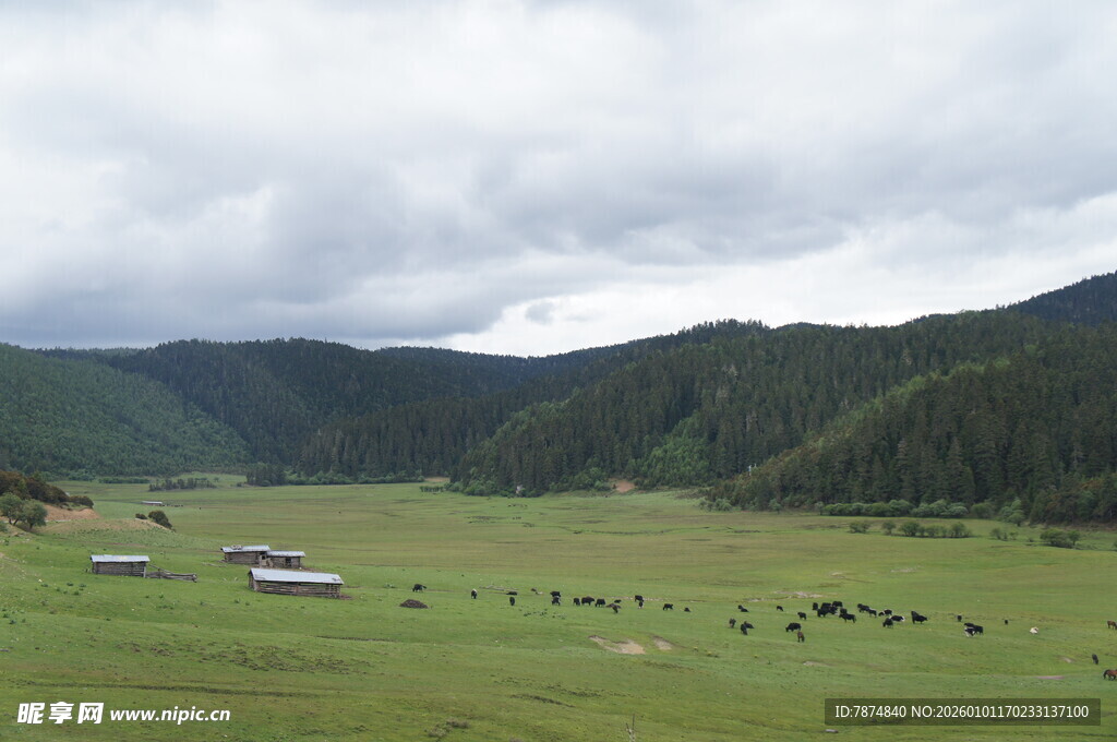 草原牧场景色