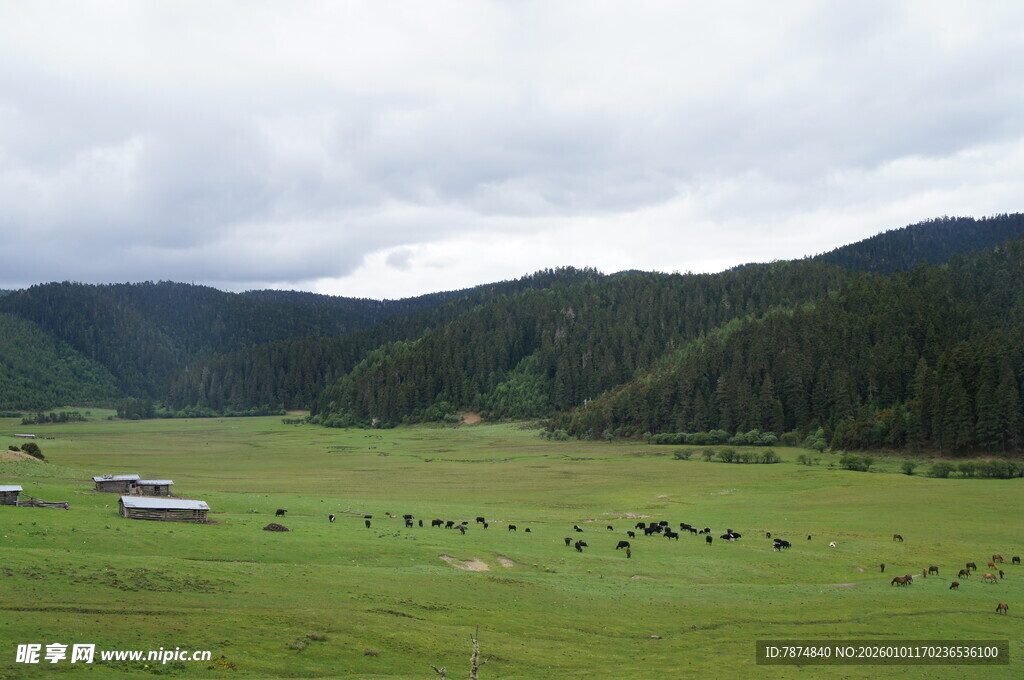 草原山谷风光 宁静自然