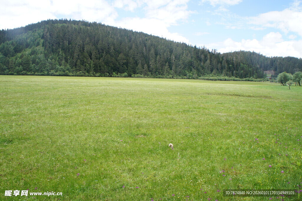 广袤绿野与远处青山
