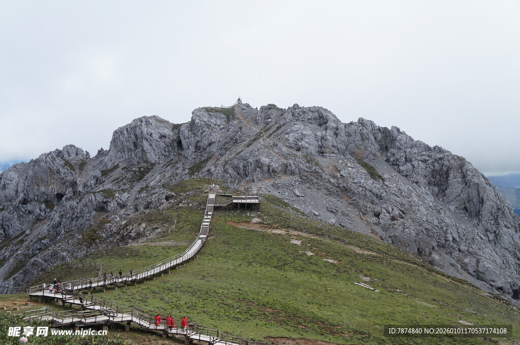 高山草甸间的蜿蜒山路