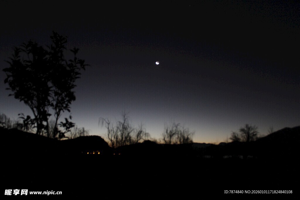 夜幕下的树与天际微光