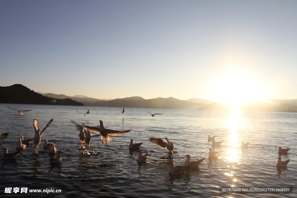 夕阳下海边嬉戏的人群