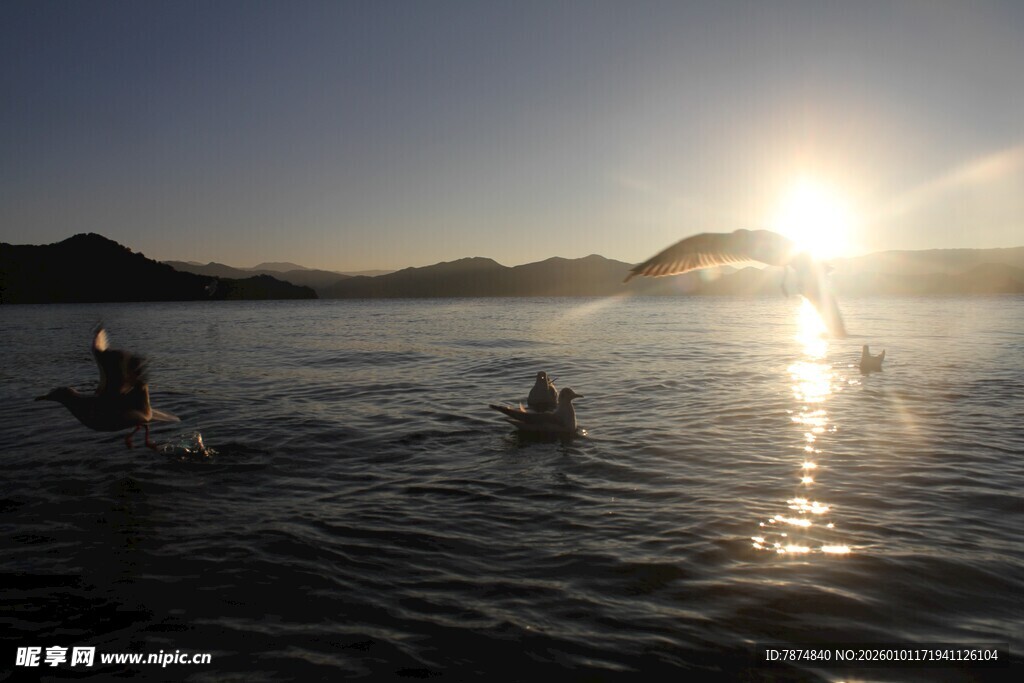 夕阳下水中嬉戏的人们