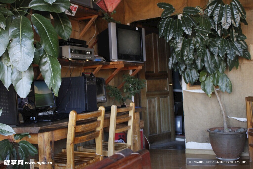 室内绿植环绕的温馨角落