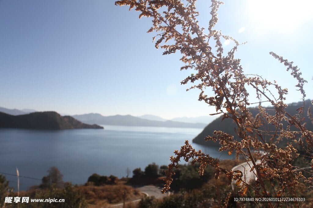 湖畔风光 枝叶点缀美景