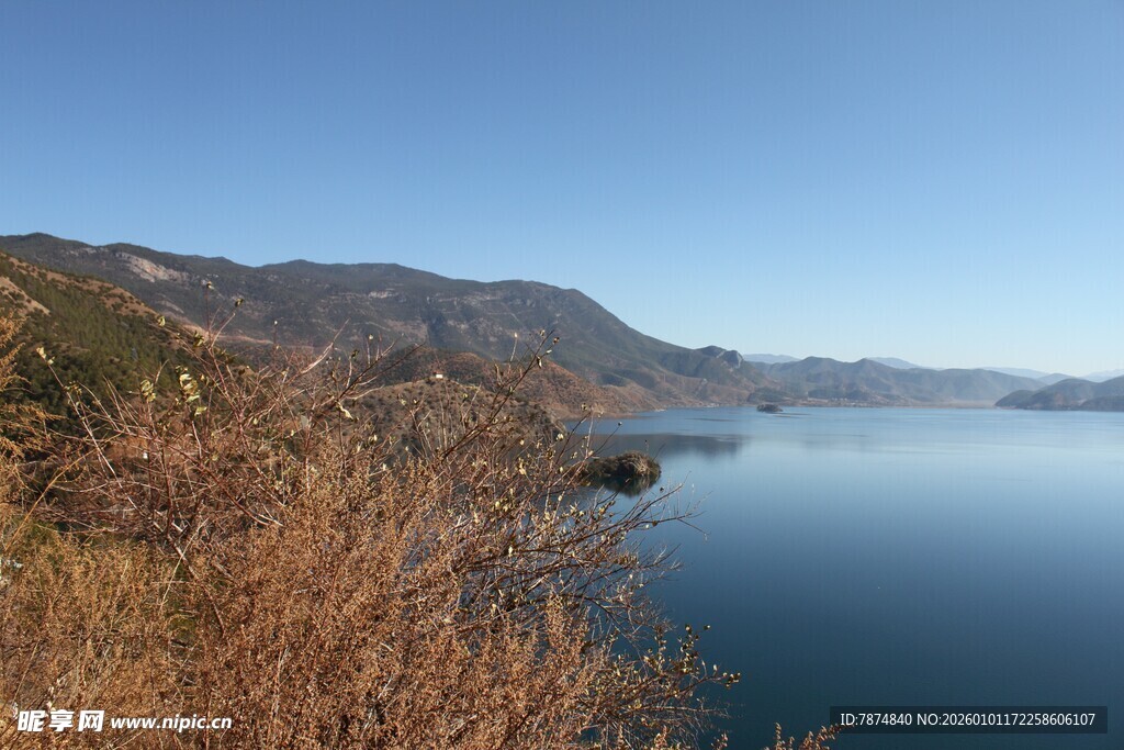 宁静湖畔的自然美景