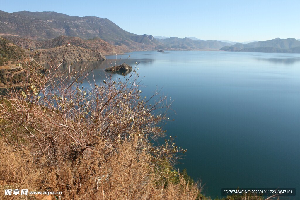 湖畔枯木与远山碧水