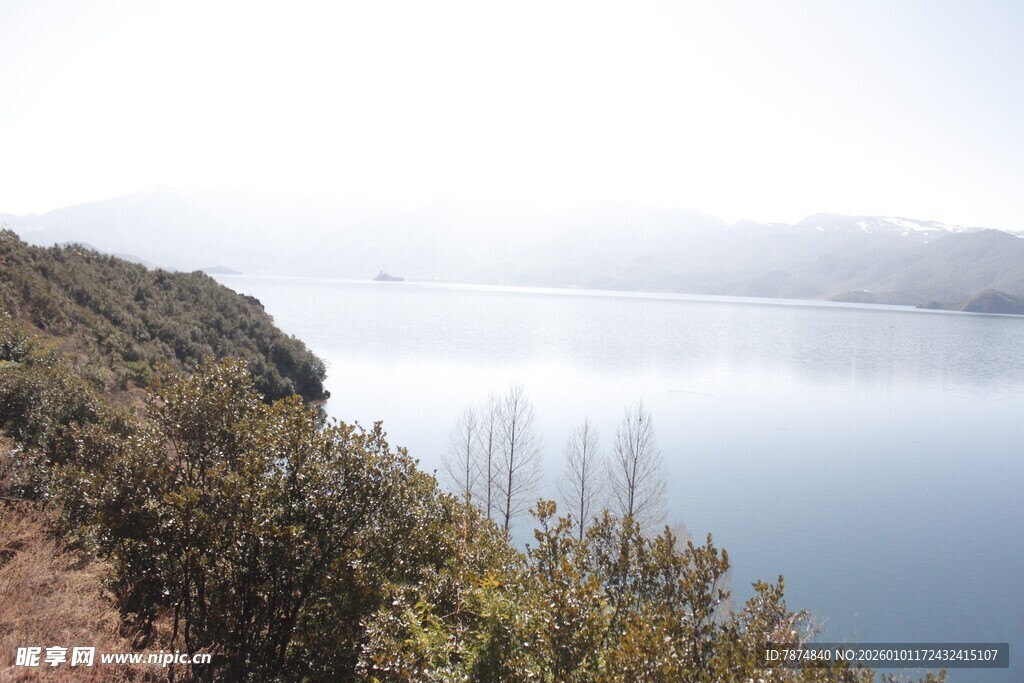 湖畔风光 岸边绿植映湖水