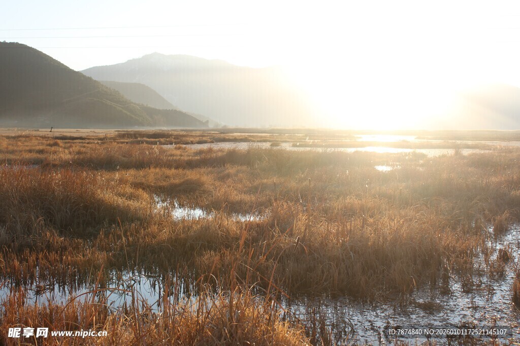 日出下的湿地美景