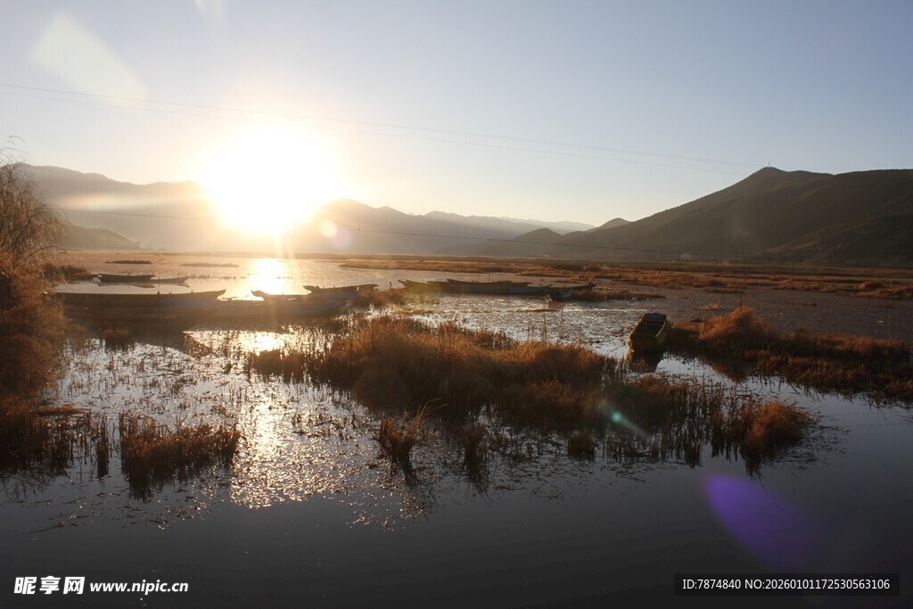 日出下的湿地风光