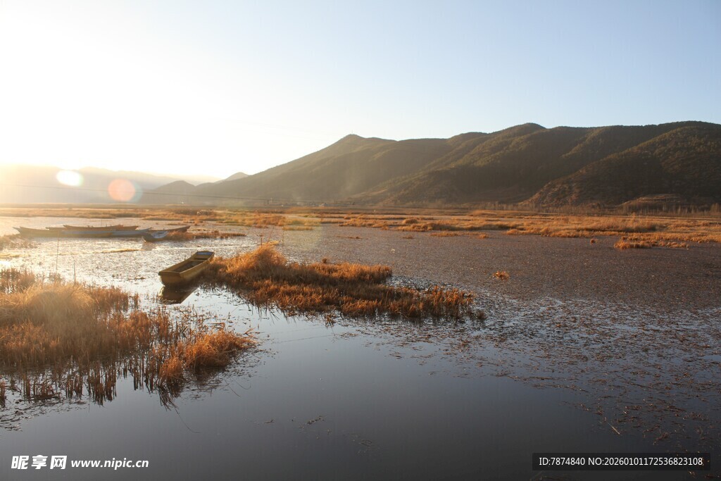 夕阳下的湿地风光