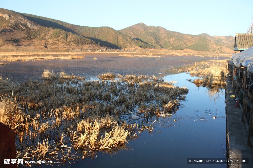 湖畔芦苇与远山美景
